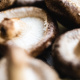Shiitake