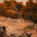 Pilanesberg National Park