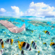 Bora Bora