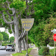 Sierra Drive