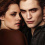 The Twilight Saga
