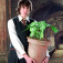 Mandrake