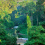 Congo Basin