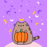 Pusheen the cat