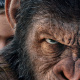 Caesar