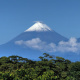 Ecuadorian Amazon