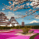 Tsuruga Castle