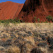 Northern Territory