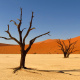 Deadvlei