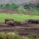 Hluhluwe-iMfolozi Park