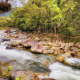Mossman River