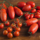 San Marzano