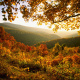 Shenandoah Valley