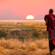 Serengeti