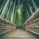 Arashiyama