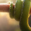 Green Tree Python