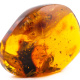 Baltic amber