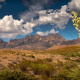 Chihuahuan Desert