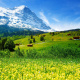 Grindelwald