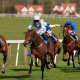 Ascot Racecourse