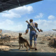Dogmeat