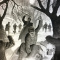 The Wolf Man