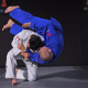 Ippon seoi nage