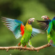 Brown-hooded parrot