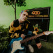 Fender Stratocaster