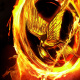 Catching Fire