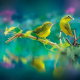 Japanese white-eye