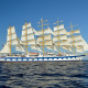Royal Clipper