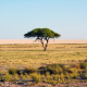 Etosha