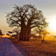 Tanzania