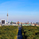 Brandenburg Gate