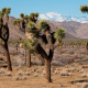 San Bernardino Mountains