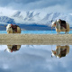 Namtso Lake
