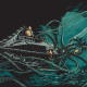 Giant Squid