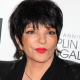 Chaplin Award Gala