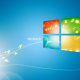 Windows 8