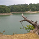 Kentucky