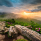 Roan Mountain