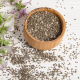 Salvia hispanica