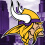 Minnesota Vikings