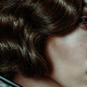 Fantastic Beasts