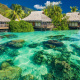 Moorea