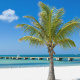 Higgs Beach