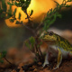Spadefoot toad