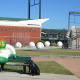Greensboro Grasshoppers
