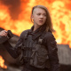 Cressida